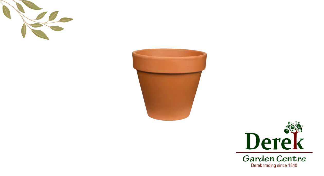 Clay Pot