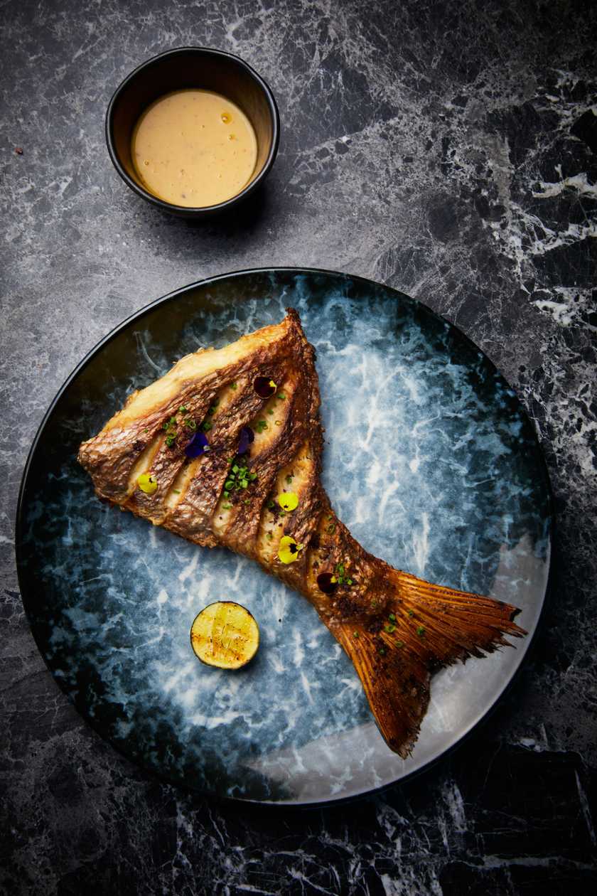 Roaster Fish