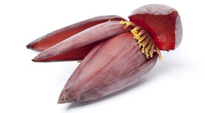 Banana flower 1gab