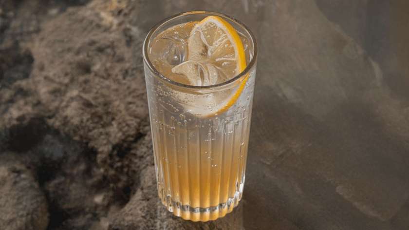 Sitruslu Tonik Limonad
