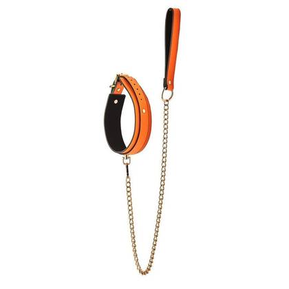 Collar & Leash Orange Reflective Collar with Leash