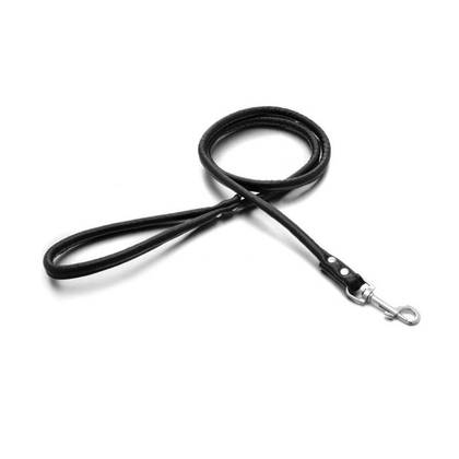 Clue Leash with Carabiner