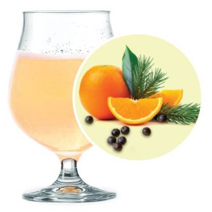Birteel Gin and Tonic Special Beer 5%