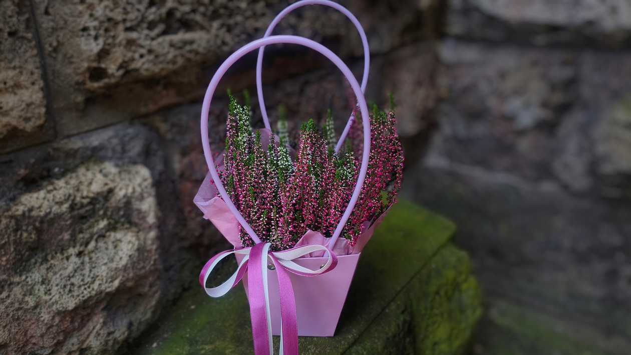 Heather in a Decorative Bag