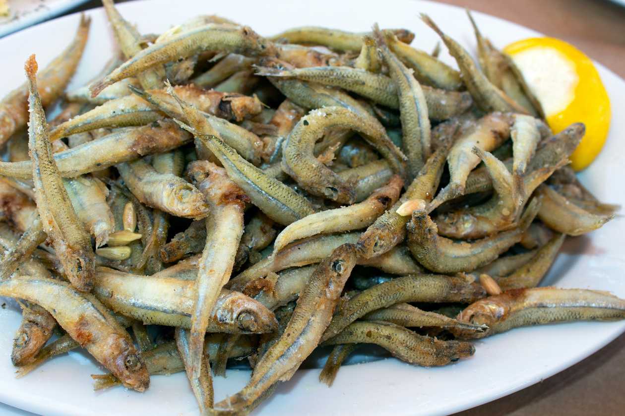 Fried fish Gavros