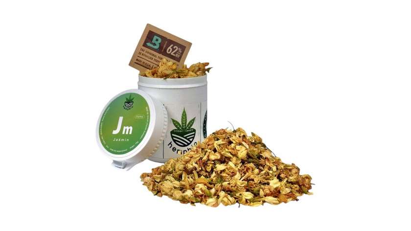 Jaśmin do Aromaterapii