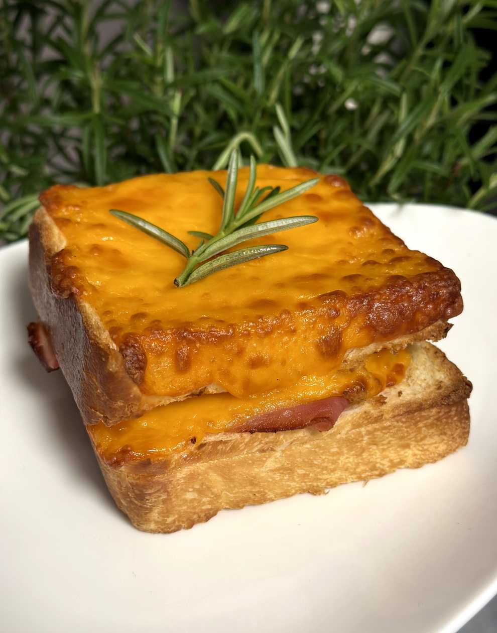 Croque Monsieur