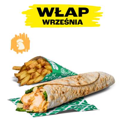 ZESTAW KUREK WŁAP