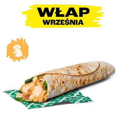 KUREK WŁAP