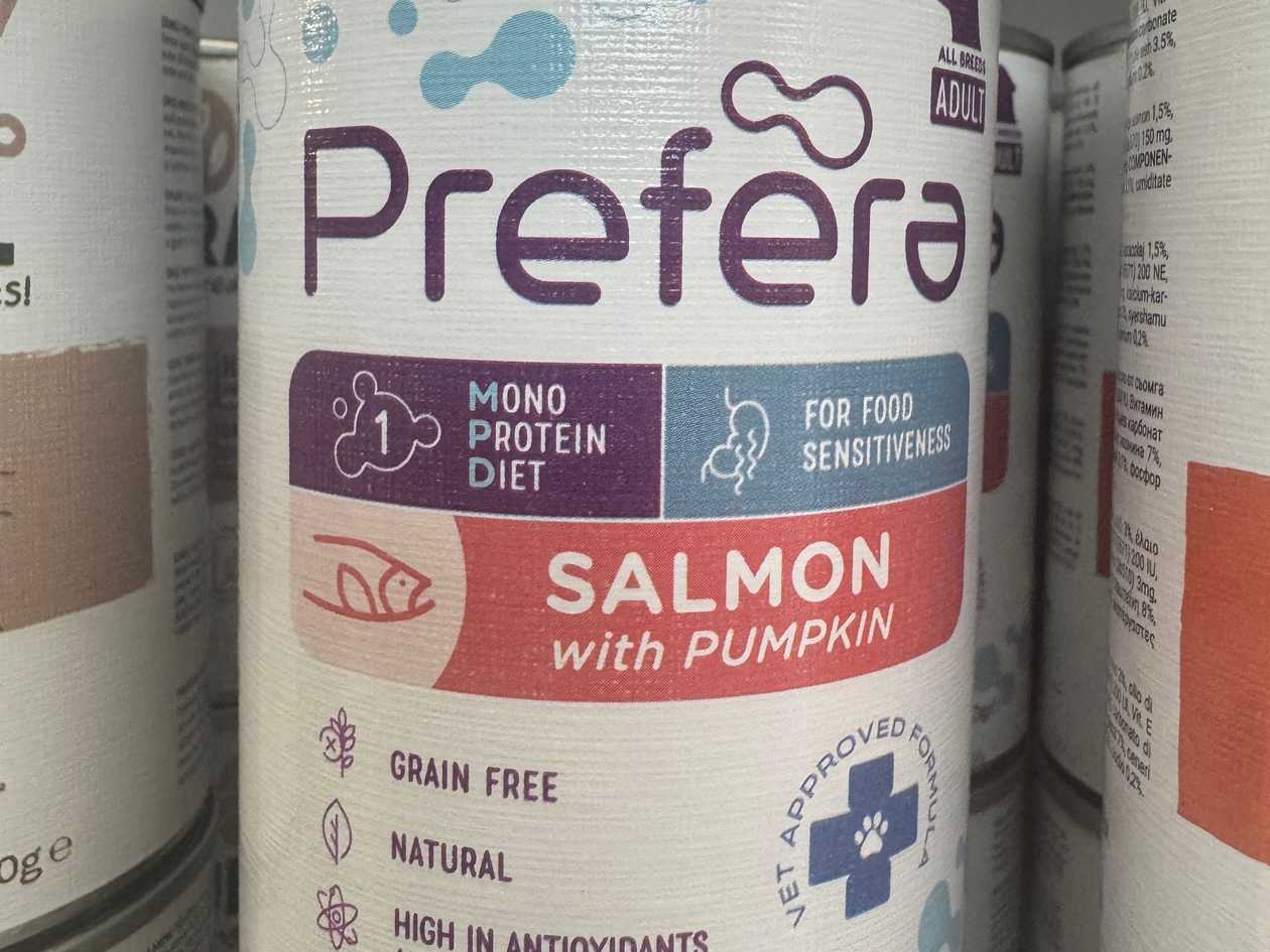 Monoprotein Salmon and Pumpkin Wet Food 400g