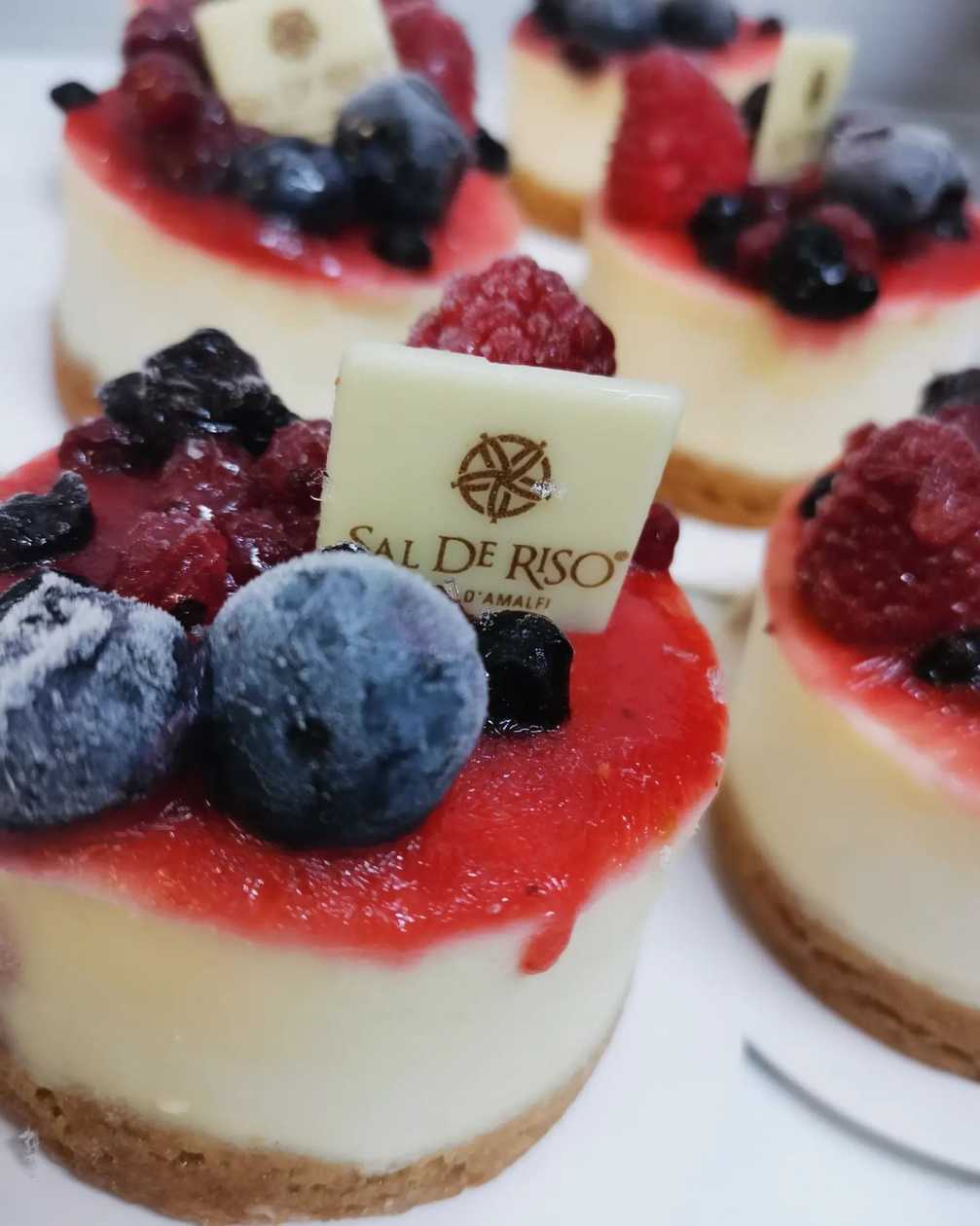 CheeseCake - Sal de Riso