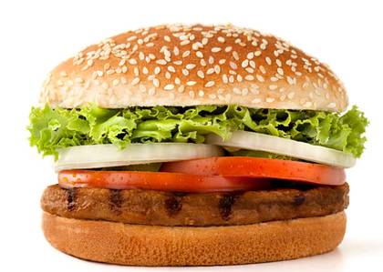 Beef Burger Plain