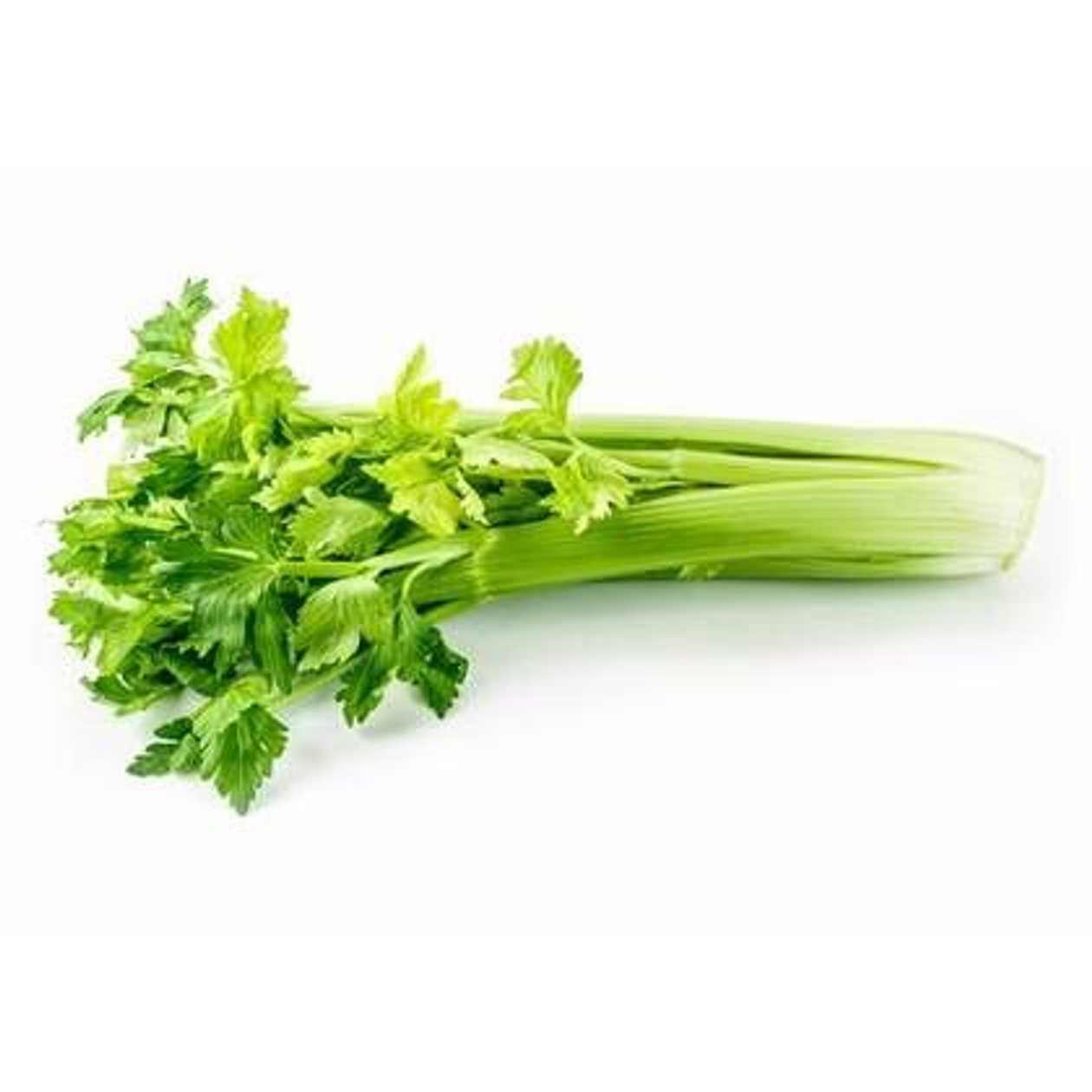 Celery Apio, 1 pc