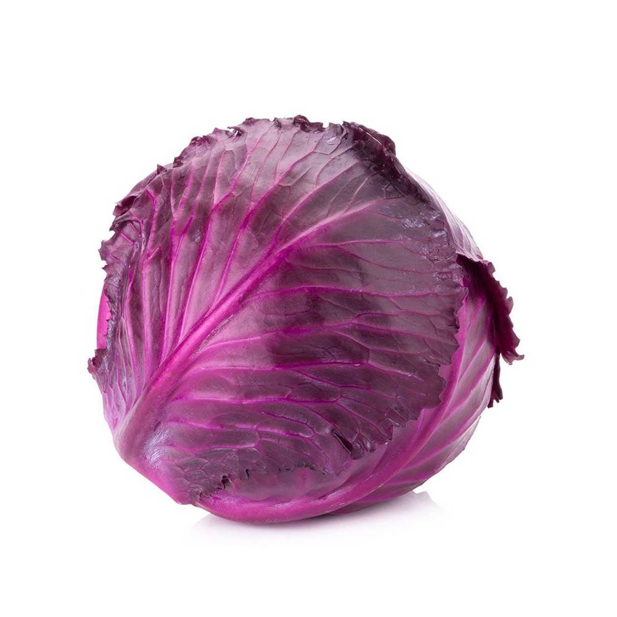 Red Cabbage, 1 pcs (expires soon)