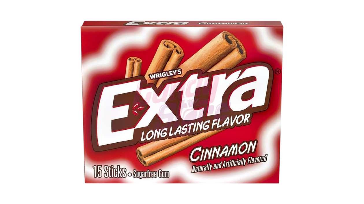 Extra Cinnamon Gum 41g