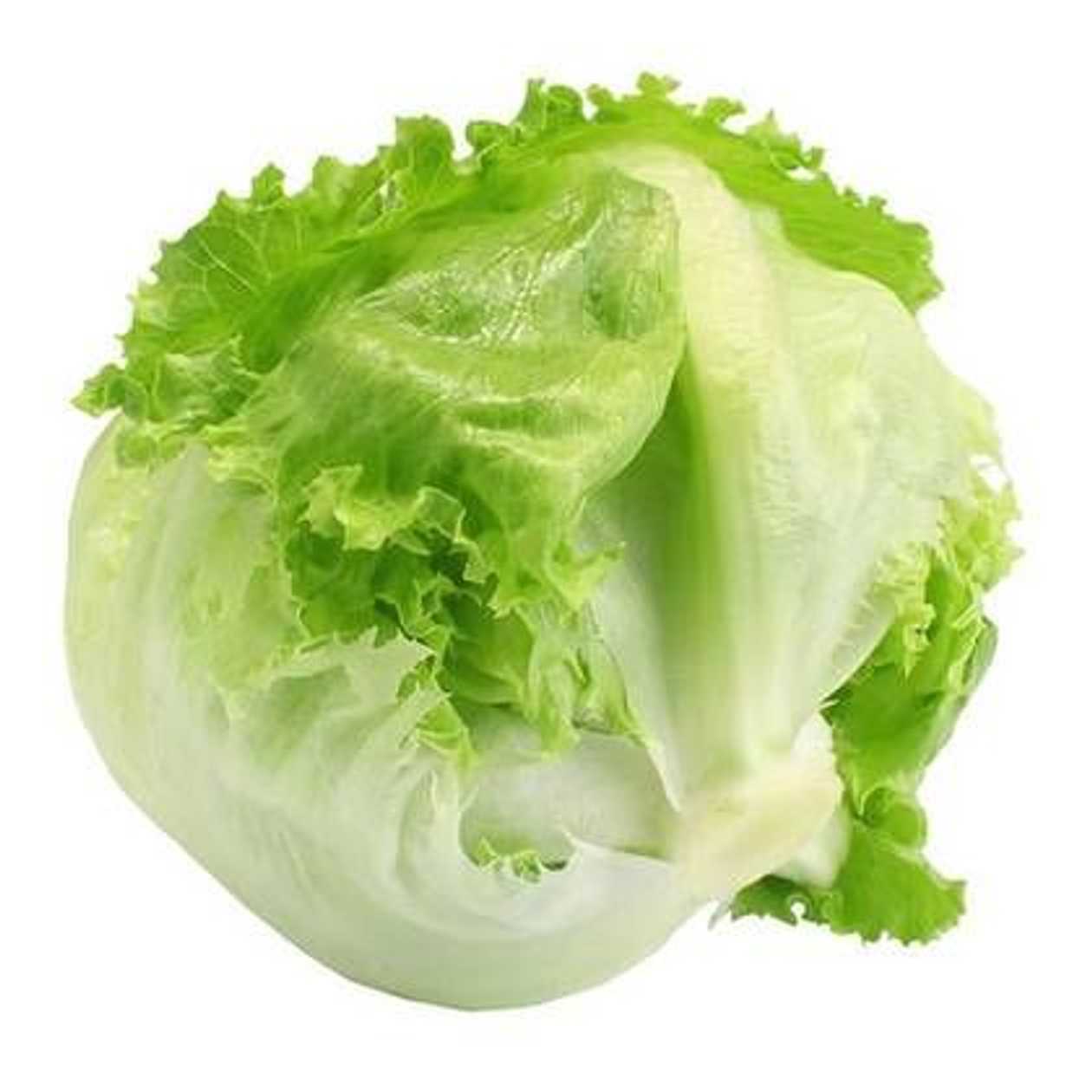 Iceberg Lettuce, 1 pc (expires soon)