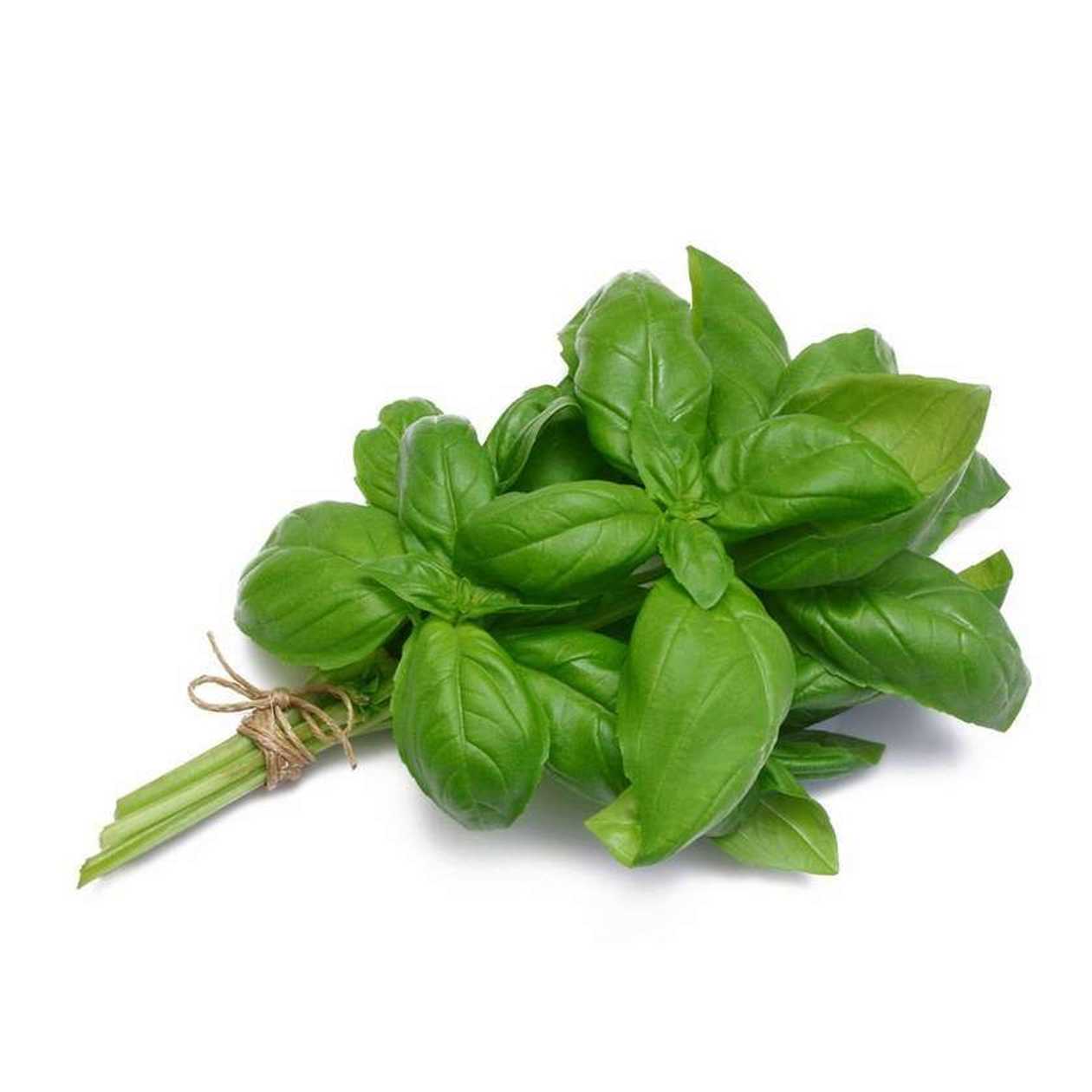 Basil, 100 g (expires soon)