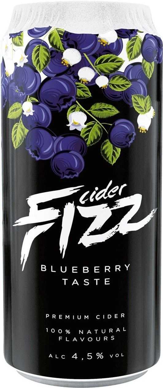 Tartu FIZZ BLUEBERRY purk 0.5L 4.5%
