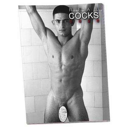 Hard REAL COCKS 2026 Erotic Calendar