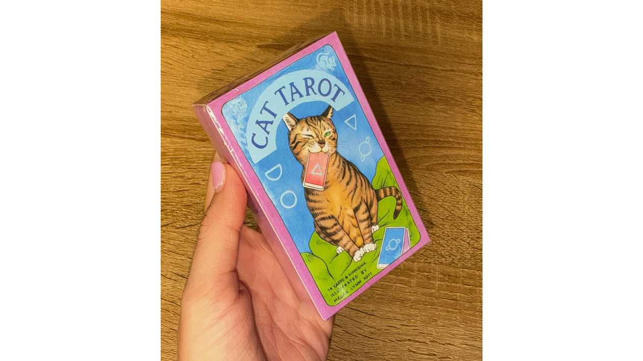 ✨Cat Tarot Deck🐱✨