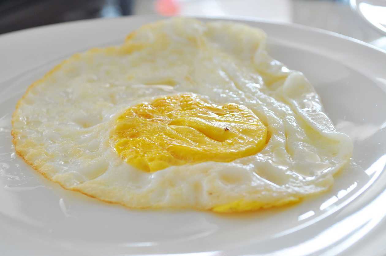 Fried Egg Only