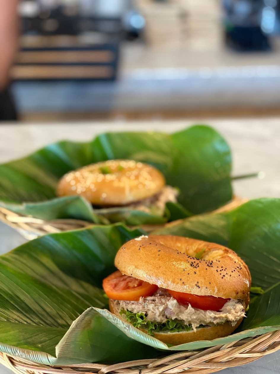 Tuna Everything Bagel