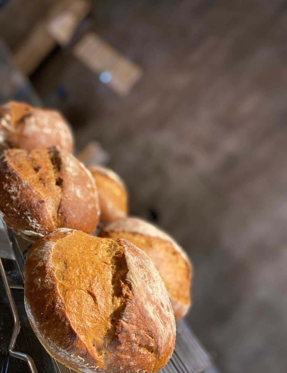 Rustic Loaf