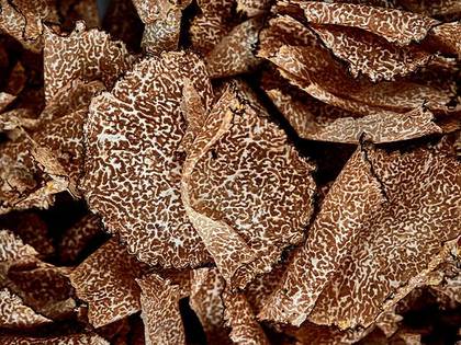 BLACK TRUFFLE