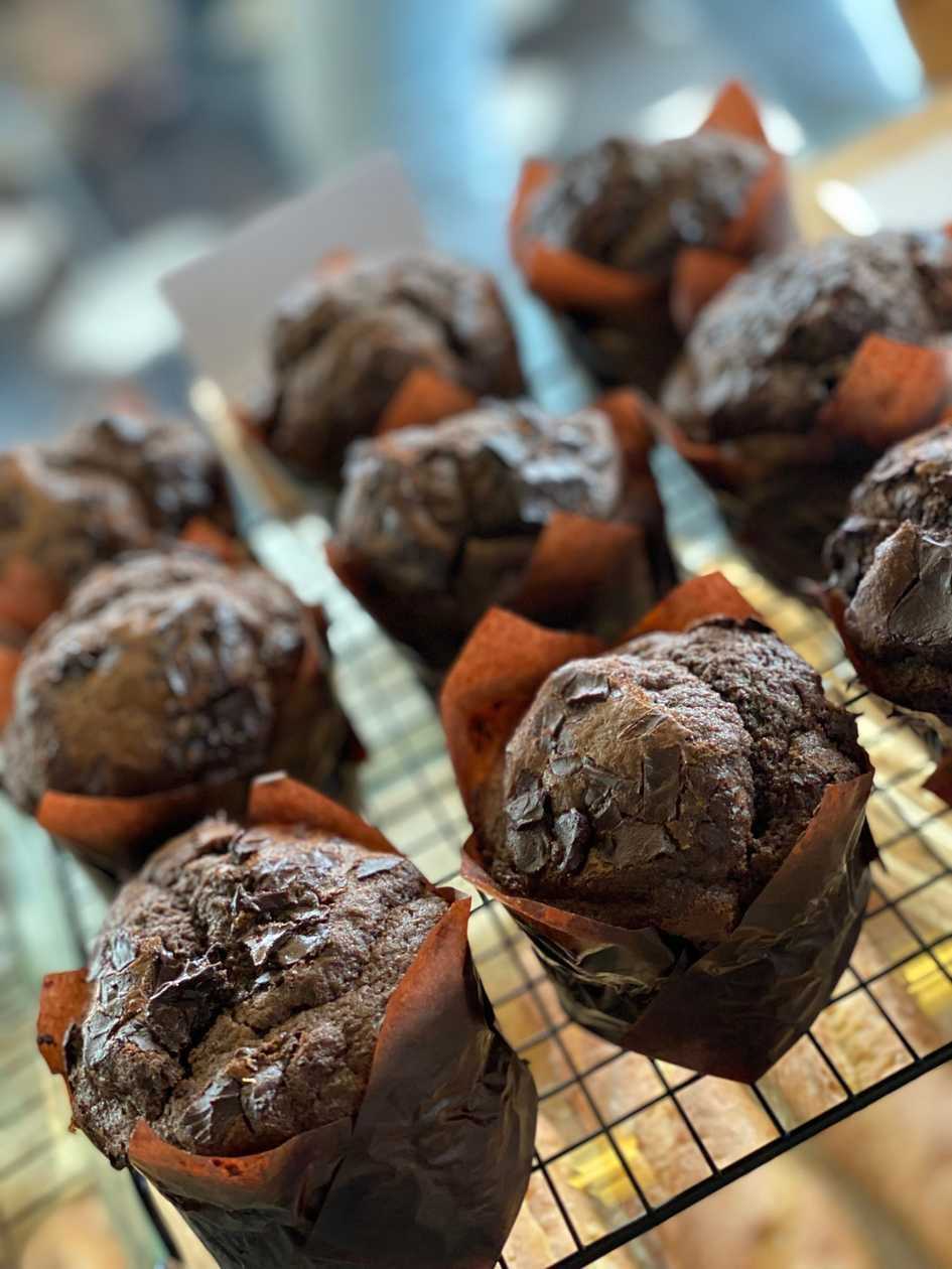 Choco Muffin