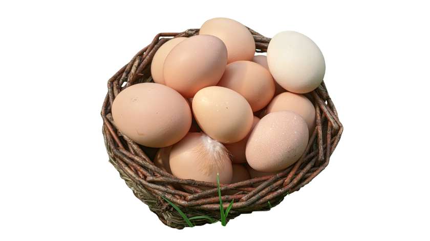 Jaja z wiejskiego podwórka 10 szt.