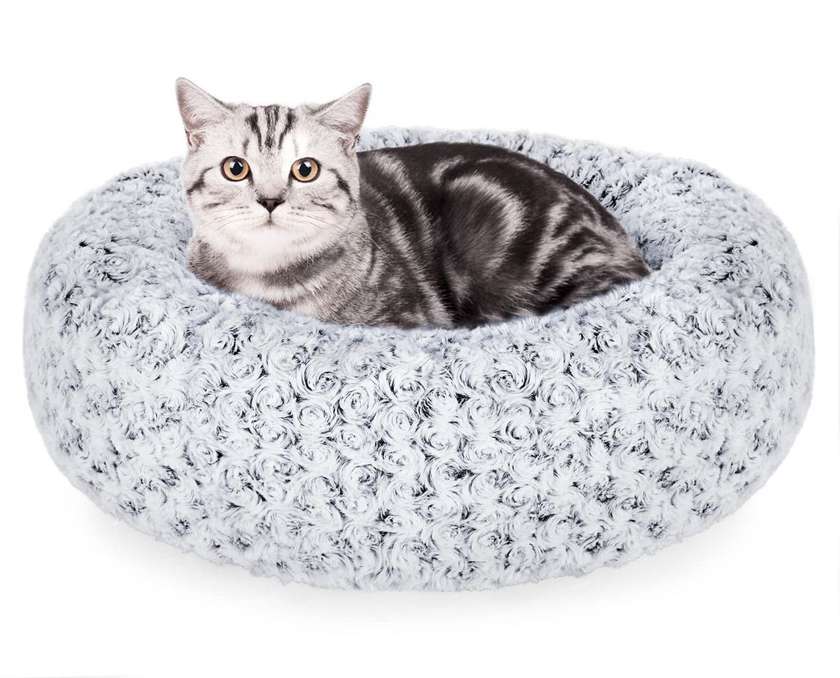 White and Gray Pet Bed L 70x70