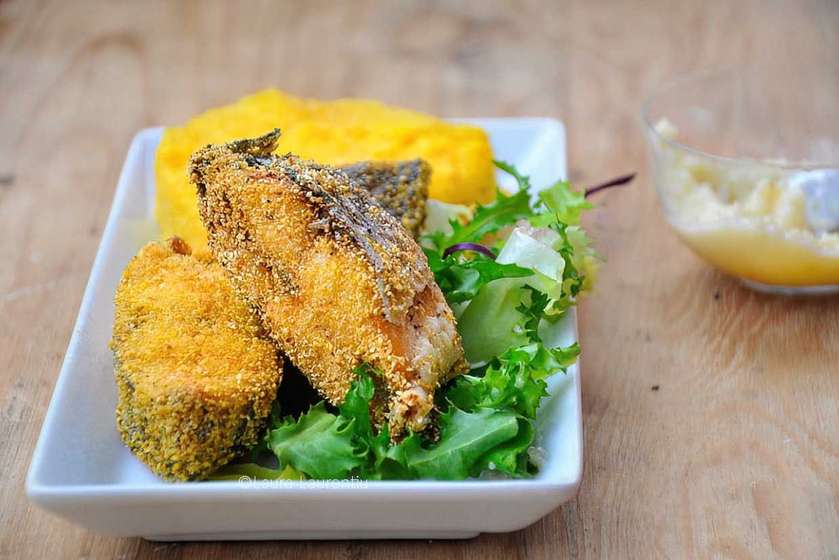 Salau prajit cu mamaliguta si mujdei