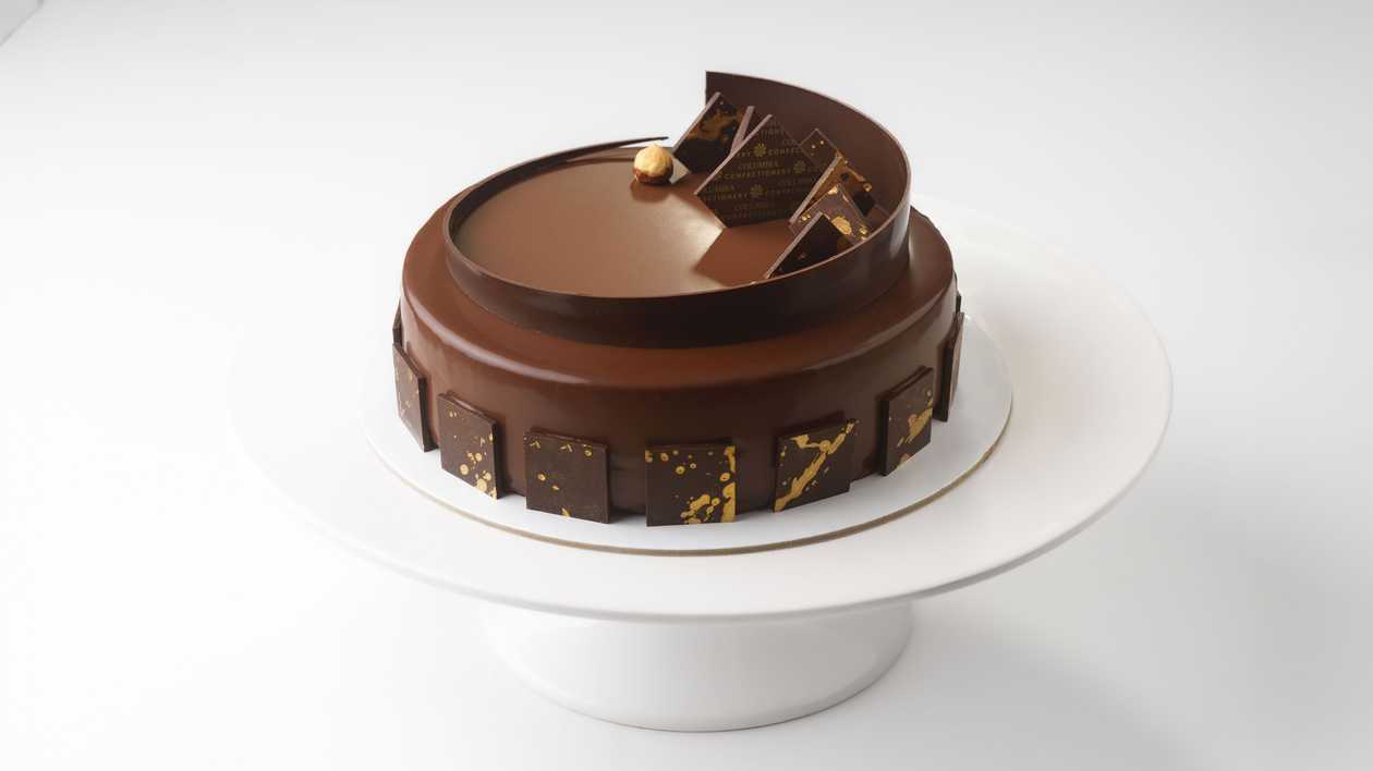 Chocolate Hazelnut Praline Cake