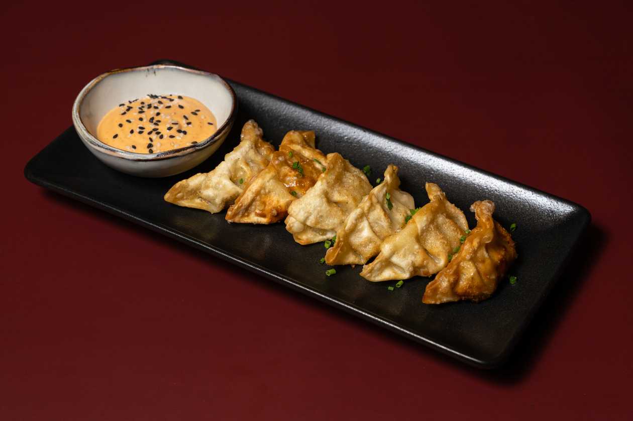 Gyoza Dumplings