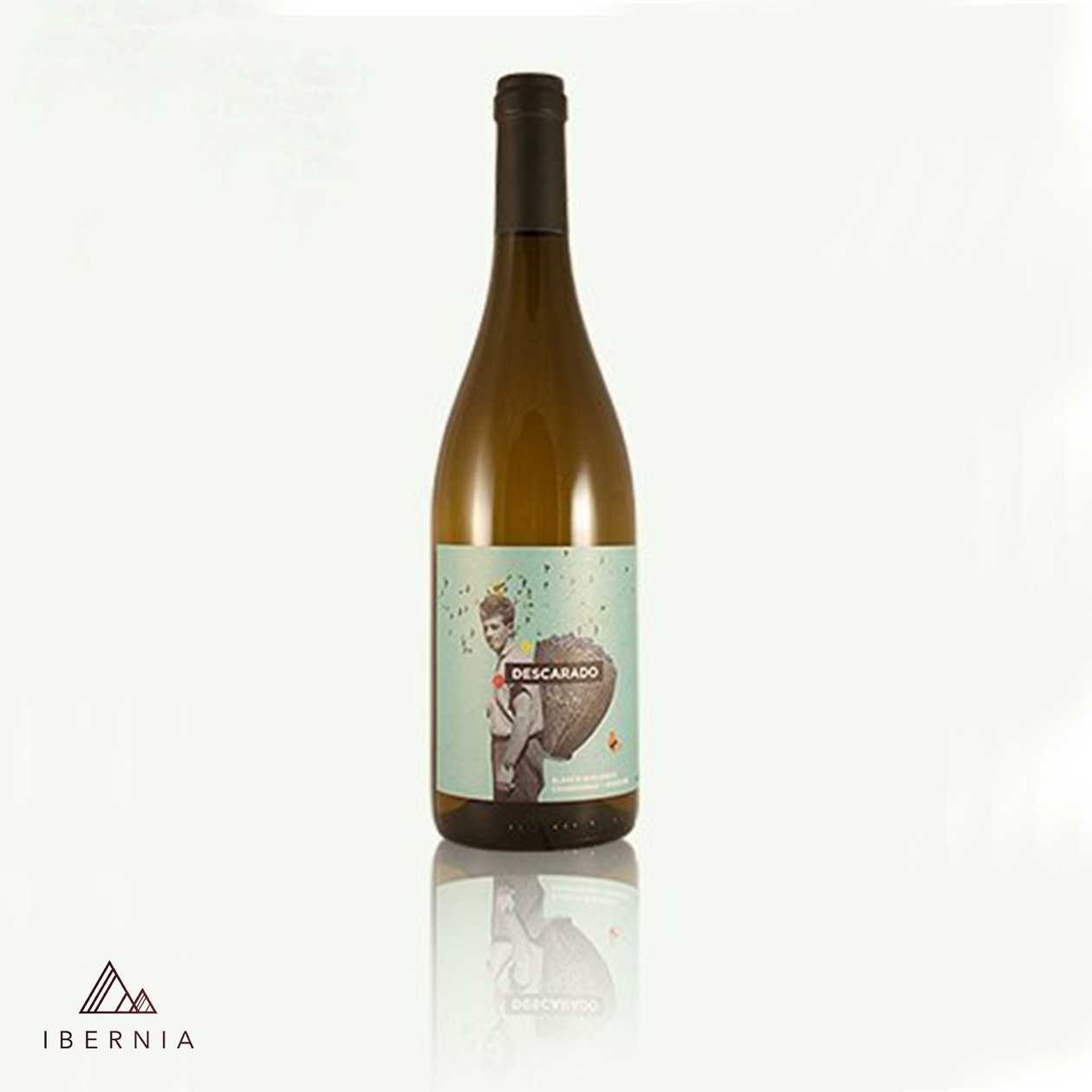 Nodus Descarado Blanco