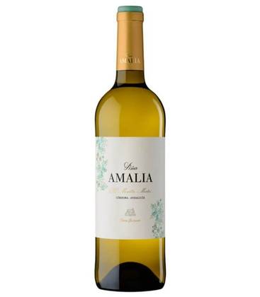 Amalia Blanco Joven 2023