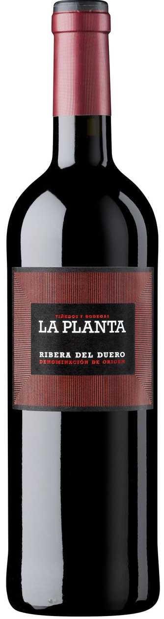 La Planta Ribera Del Duero 2020