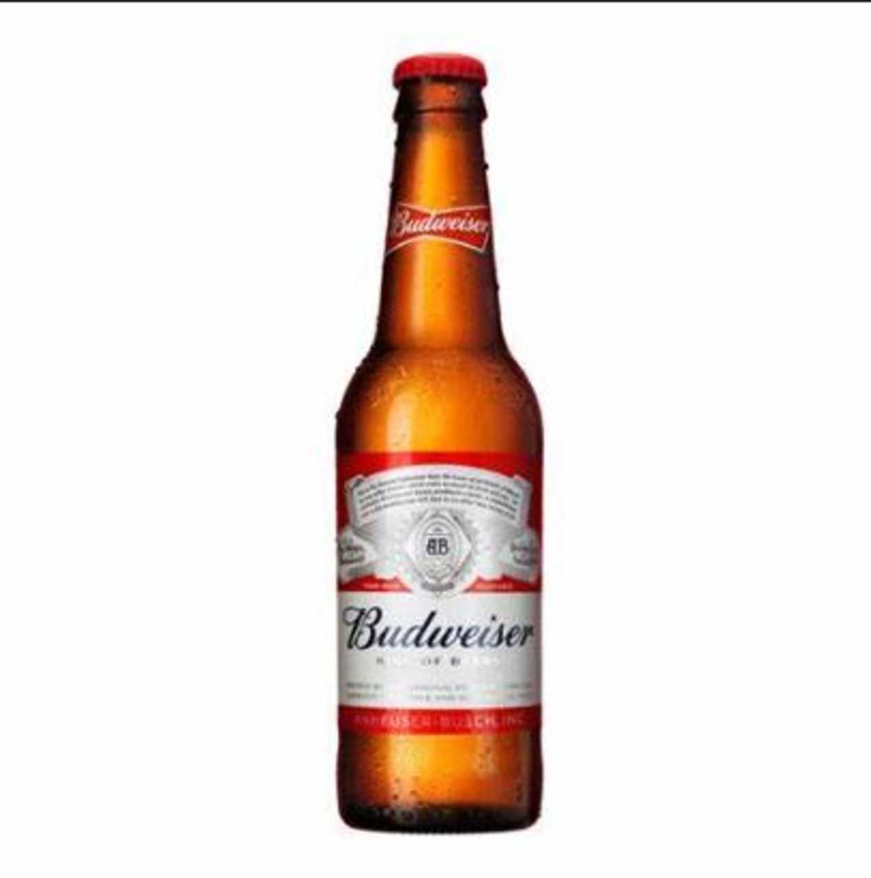 Cerveja Budweiser 33cl 🇨🇿