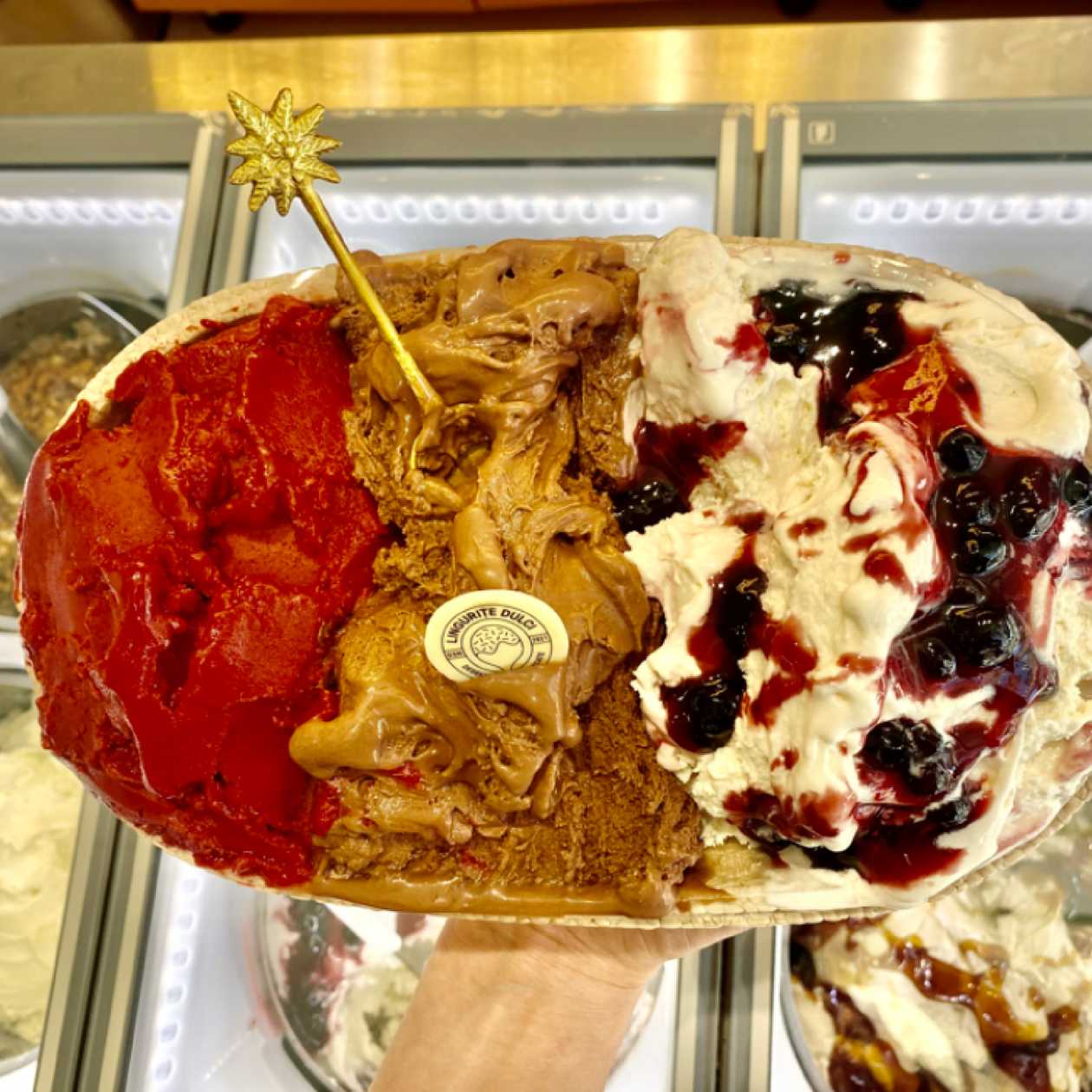 Înghețată artizanala 1 kg