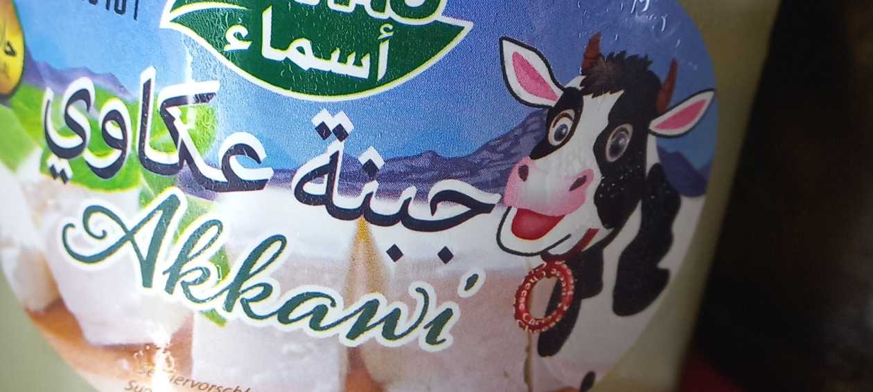 Akkawi cheese