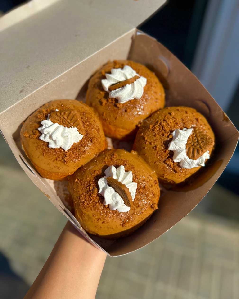 Lotus Biscof Doughnut