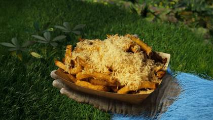 Homemade Fries with Garlic and Parmesan