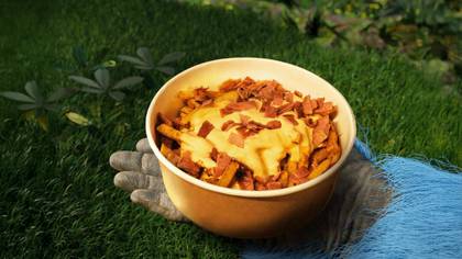 Cheddar & Bacon Loaded Fries