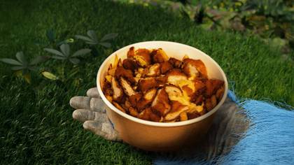 Cheddar & Homemade Crispy Loaded Fries