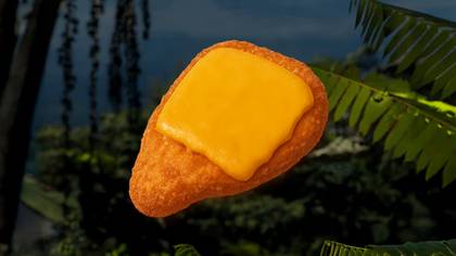 Extra Schnitzel Pui Cu Felie Cheddar