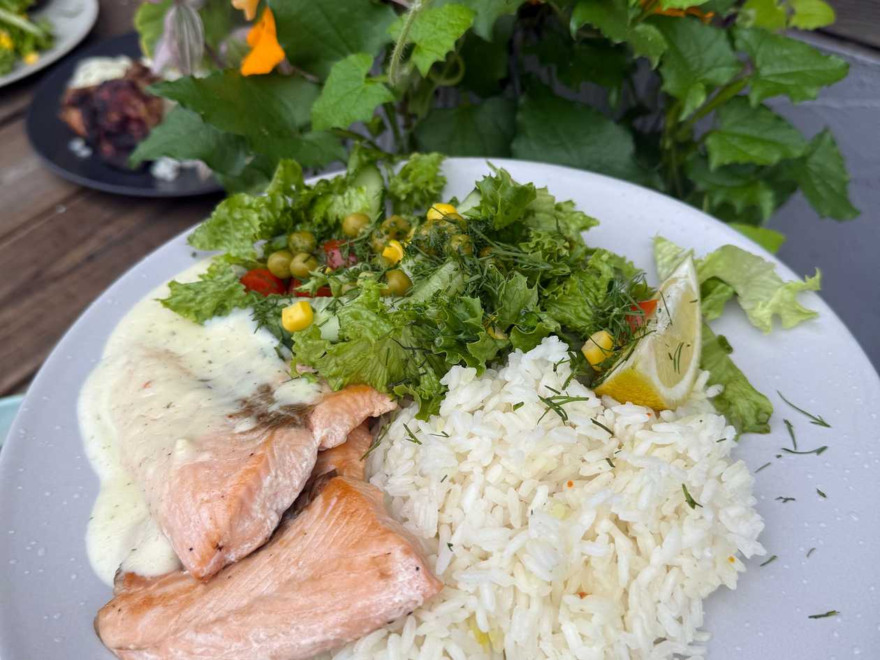 Salmon Fillet with Rice and Salad