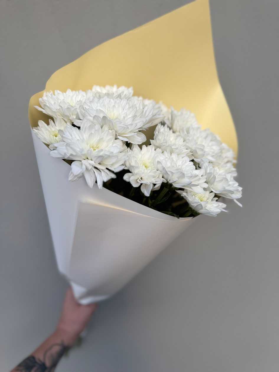 Kimp ,,Valge compliment’’