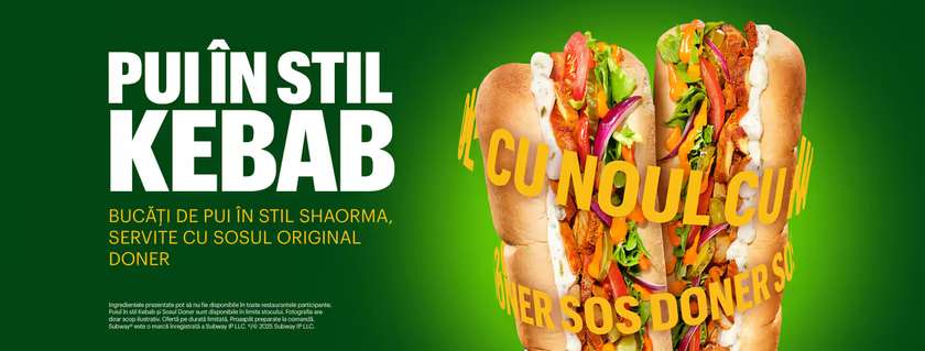 Pui în stil Kebab 15 cm