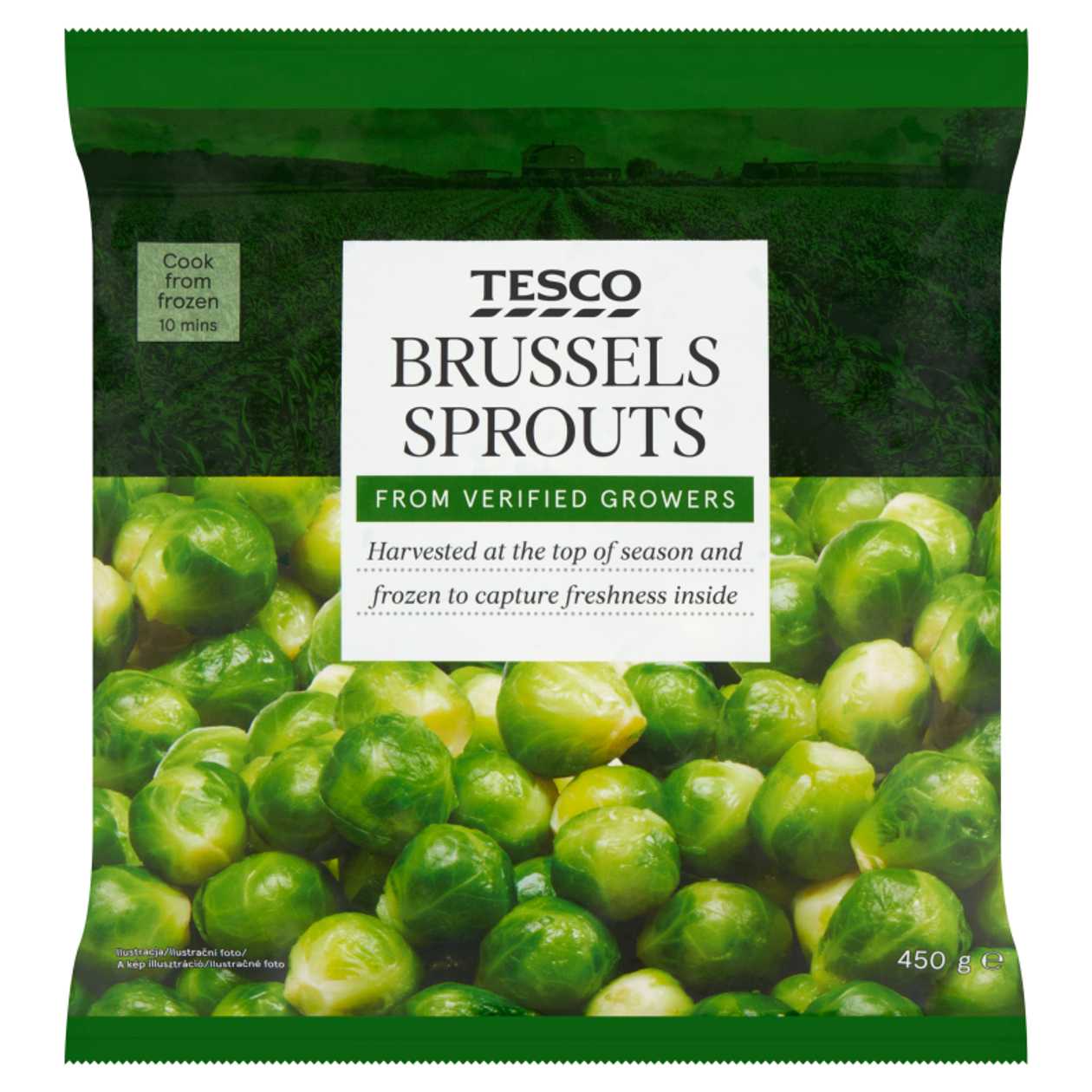 Ruzickova Kapusta 450G