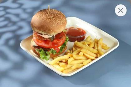Chicken burger ( single layer - fried ) + fries + ketchup